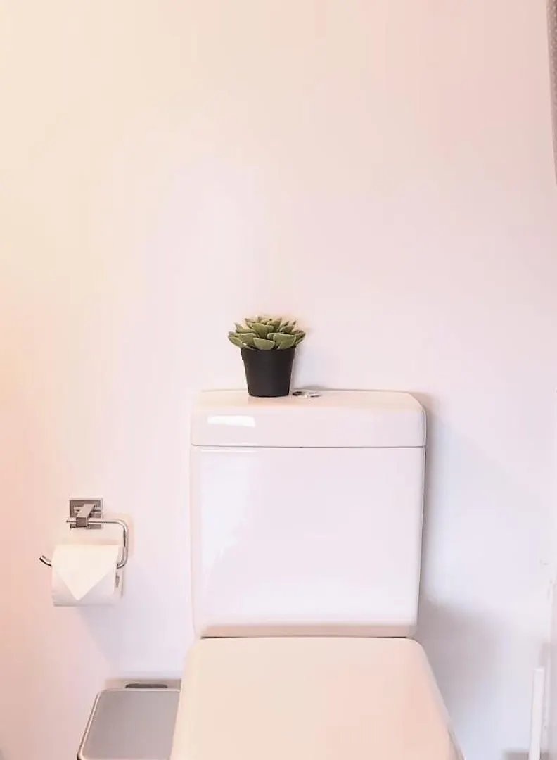Elegant 2 Bedroom And Bath Downtown Retreat Apartment